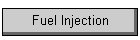 Fuel Injection