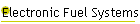 Electronic Fuel Systems