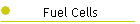 Fuel Cells